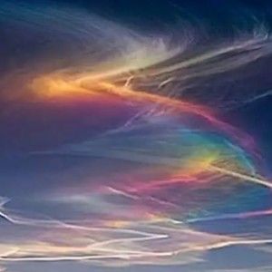 Meet your Posher, Analisa